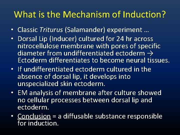 What is the Mechanism of Induction? • Classic Triturus (Salamander) experiment … • Dorsal What is the Mechanism of Induction? • Classic Triturus (Salamander) experiment … • Dorsal