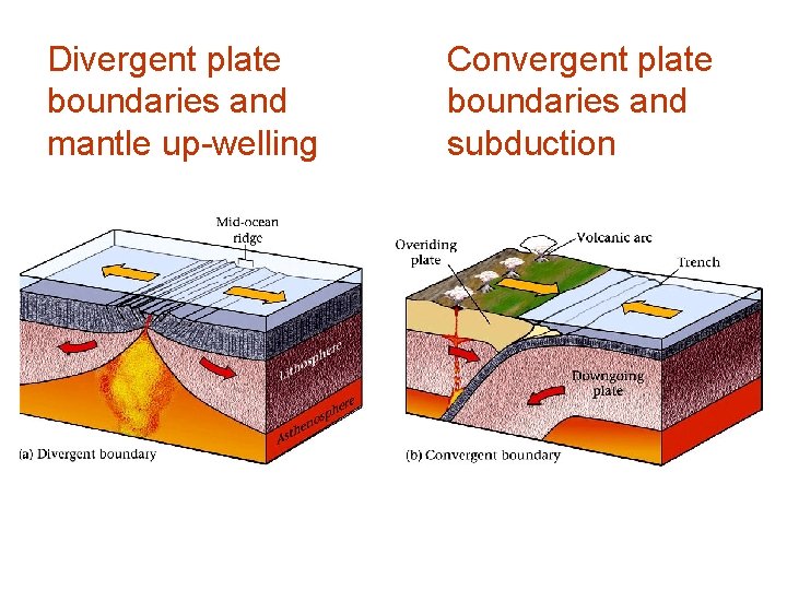 Divergent plate boundaries and mantle up-welling Convergent plate boundaries and subduction 