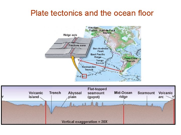 Plate tectonics and the ocean floor 