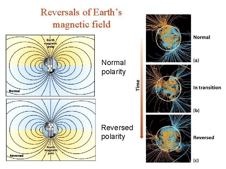 Reversals of Earth’s magnetic field Normal polarity Reversed polarity 