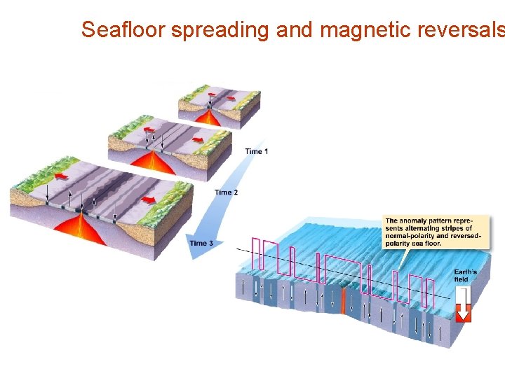 Seafloor spreading and magnetic reversals 