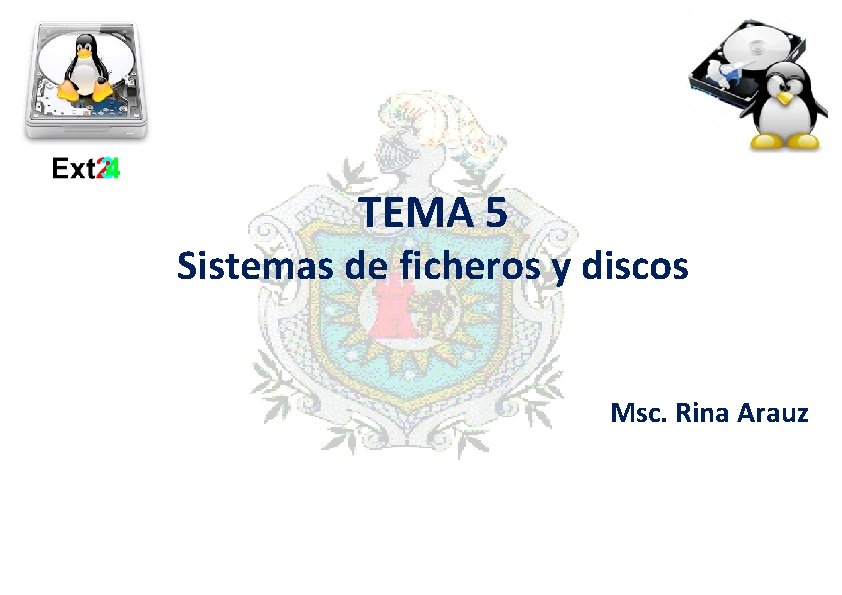 TEMA 5 Sistemas de ficheros y discos Msc. Rina Arauz 