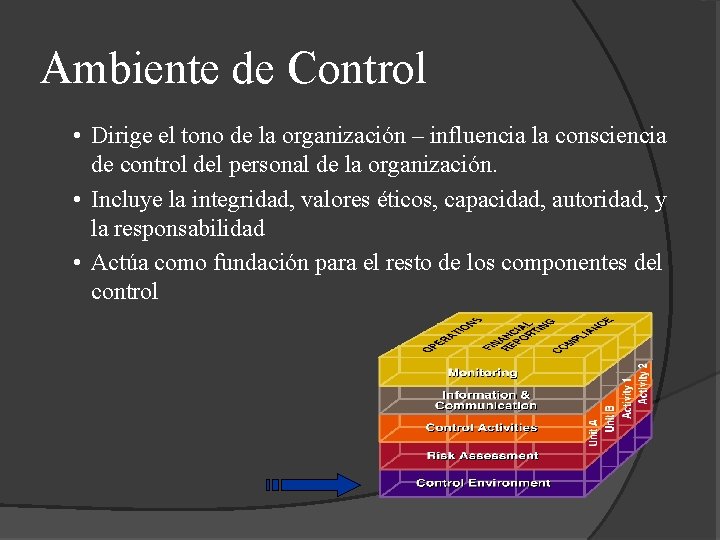 Ambiente de Control • Dirige el tono de la organización – influencia la consciencia