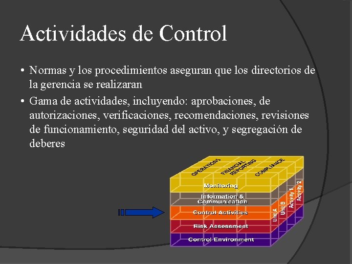 Actividades de Control • Normas y los procedimientos aseguran que los directorios de la