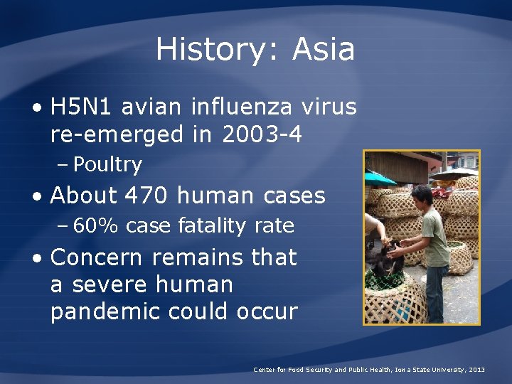 History: Asia • H 5 N 1 avian influenza virus re-emerged in 2003 -4