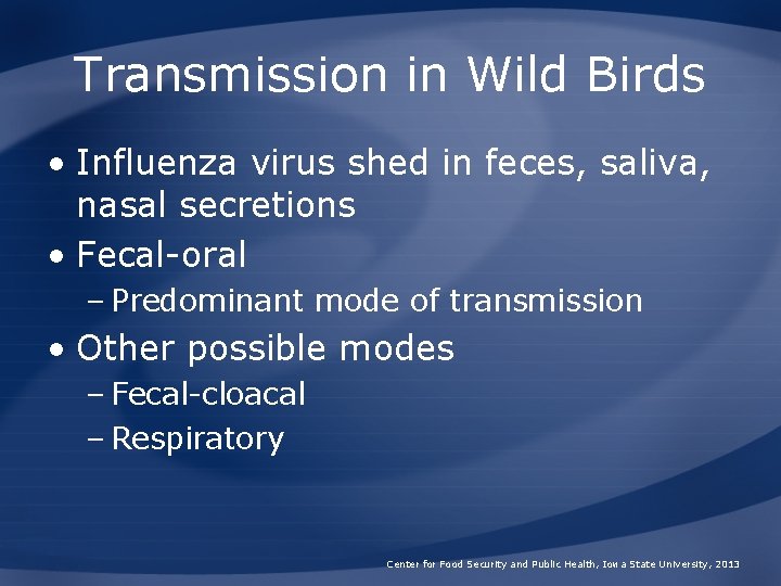 Transmission in Wild Birds • Influenza virus shed in feces, saliva, nasal secretions •