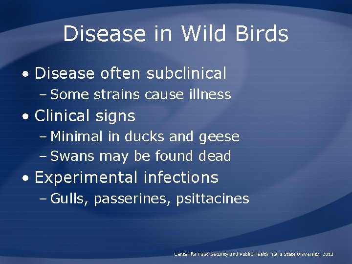 Disease in Wild Birds • Disease often subclinical – Some strains cause illness •