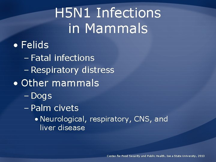 H 5 N 1 Infections in Mammals • Felids – Fatal infections – Respiratory