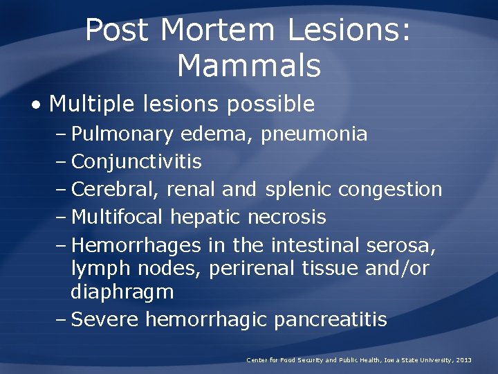 Post Mortem Lesions: Mammals • Multiple lesions possible – Pulmonary edema, pneumonia – Conjunctivitis