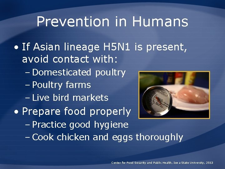 Prevention in Humans • If Asian lineage H 5 N 1 is present, avoid