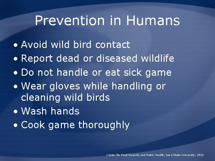 Prevention in Humans • Avoid wild bird contact • Report dead or diseased wildlife