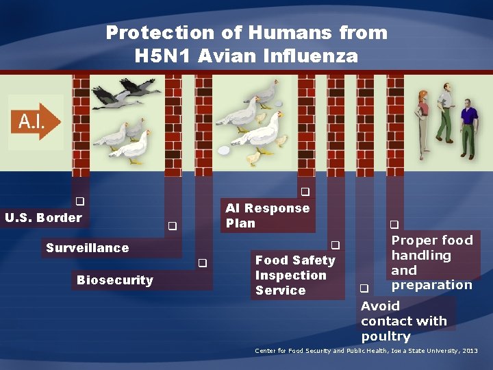 Protection of Humans from H 5 N 1 Avian Influenza q q U. S.