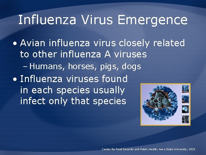 Influenza Virus Emergence • Avian influenza virus closely related to other influenza A viruses