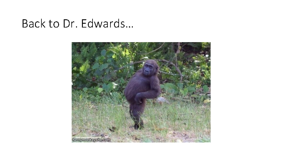 Back to Dr. Edwards… 