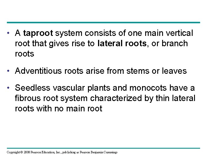  • A taproot system consists of one main vertical root that gives rise