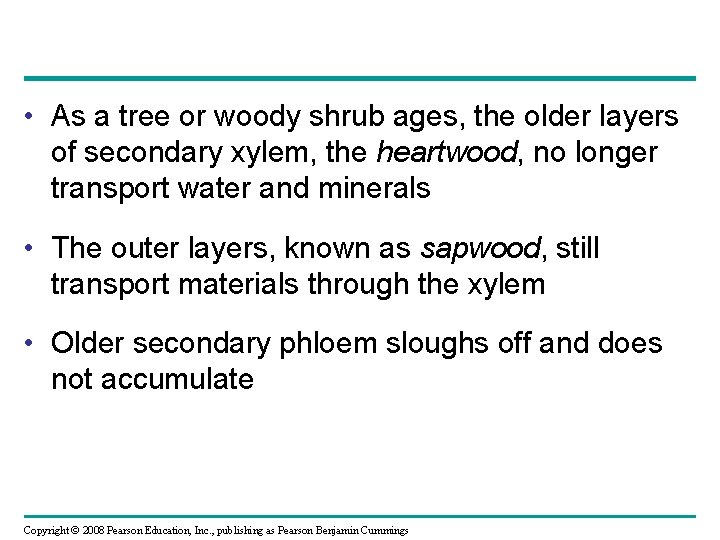  • As a tree or woody shrub ages, the older layers of secondary