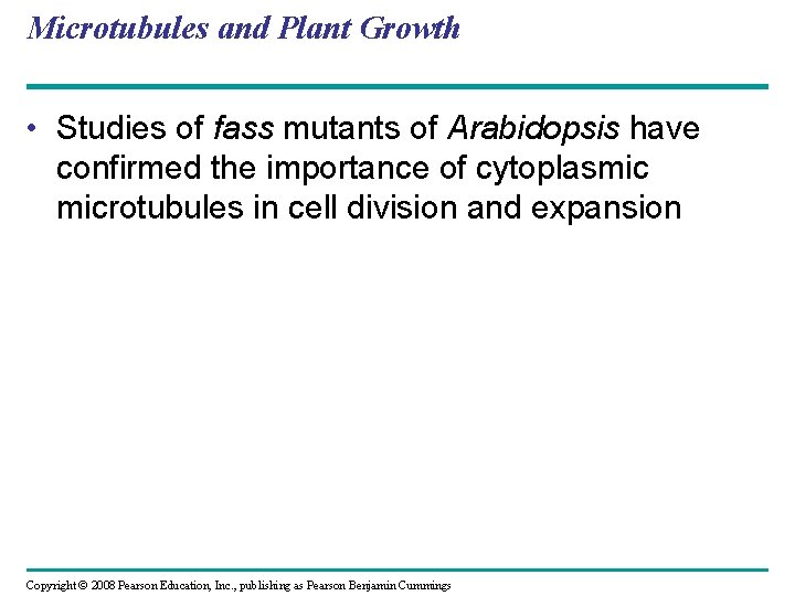 Microtubules and Plant Growth • Studies of fass mutants of Arabidopsis have confirmed the