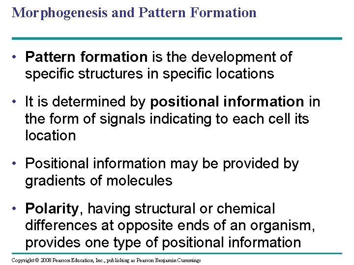 Morphogenesis and Pattern Formation • Pattern formation is the development of specific structures in