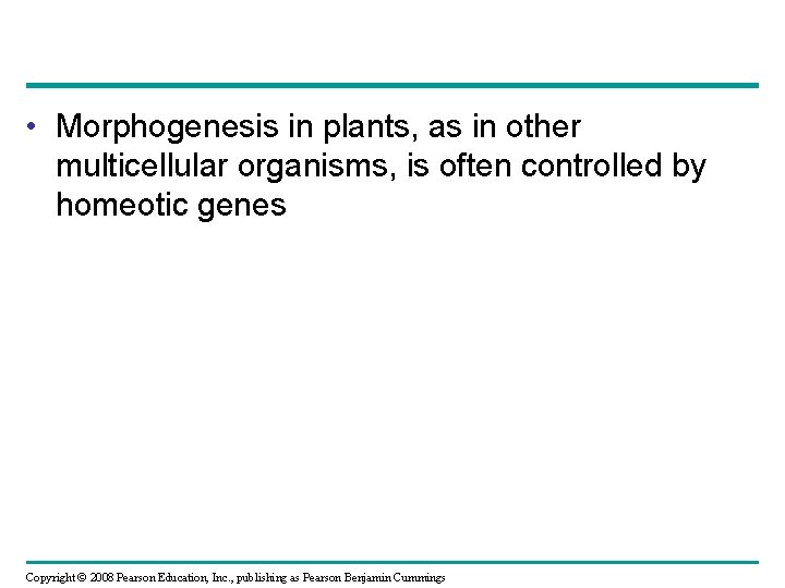  • Morphogenesis in plants, as in other multicellular organisms, is often controlled by