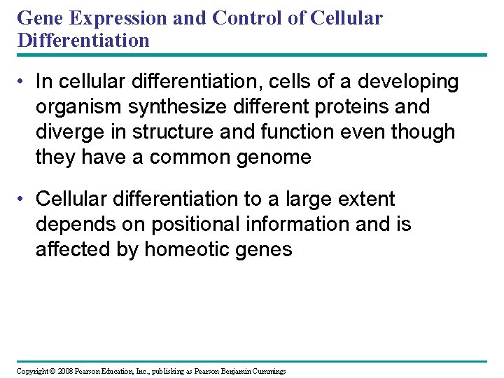 Gene Expression and Control of Cellular Differentiation • In cellular differentiation, cells of a