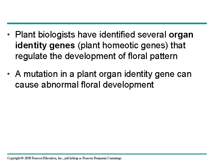  • Plant biologists have identified several organ identity genes (plant homeotic genes) that