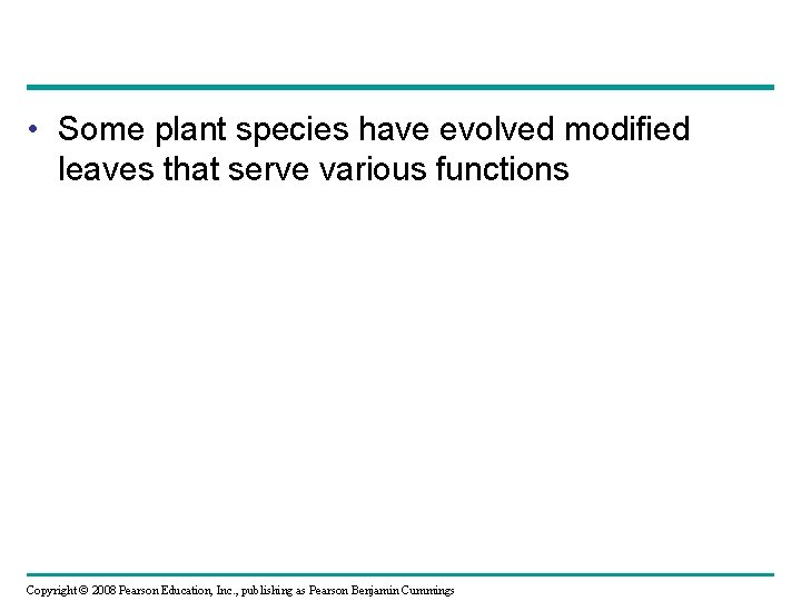  • Some plant species have evolved modified leaves that serve various functions Copyright