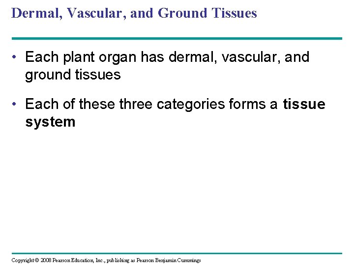 Dermal, Vascular, and Ground Tissues • Each plant organ has dermal, vascular, and ground