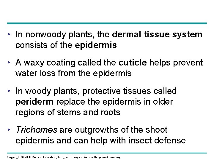  • In nonwoody plants, the dermal tissue system consists of the epidermis •