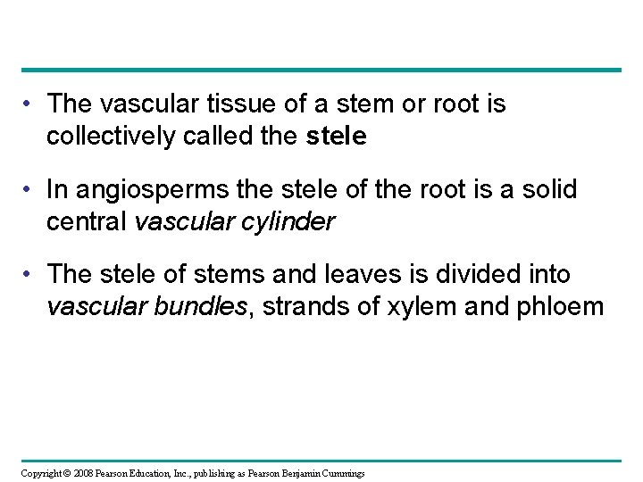  • The vascular tissue of a stem or root is collectively called the