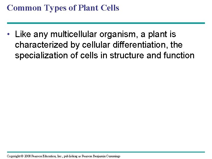Common Types of Plant Cells • Like any multicellular organism, a plant is characterized