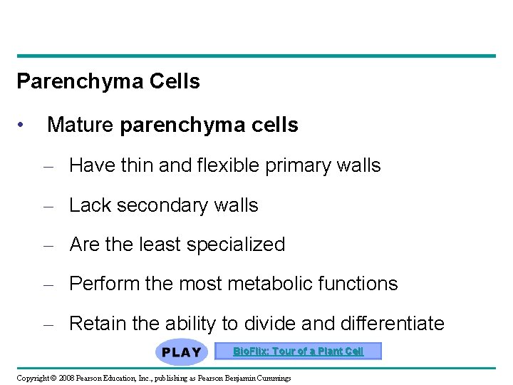 Parenchyma Cells • Mature parenchyma cells – Have thin and flexible primary walls –