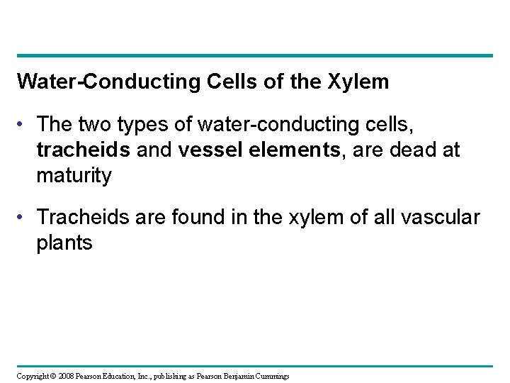 Water-Conducting Cells of the Xylem • The two types of water-conducting cells, tracheids and