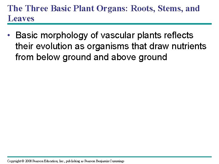 The Three Basic Plant Organs: Roots, Stems, and Leaves • Basic morphology of vascular