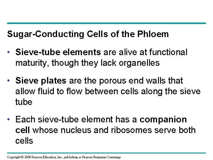 Sugar-Conducting Cells of the Phloem • Sieve-tube elements are alive at functional maturity, though