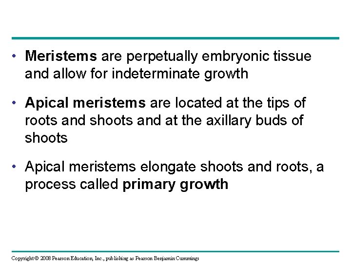  • Meristems are perpetually embryonic tissue and allow for indeterminate growth • Apical