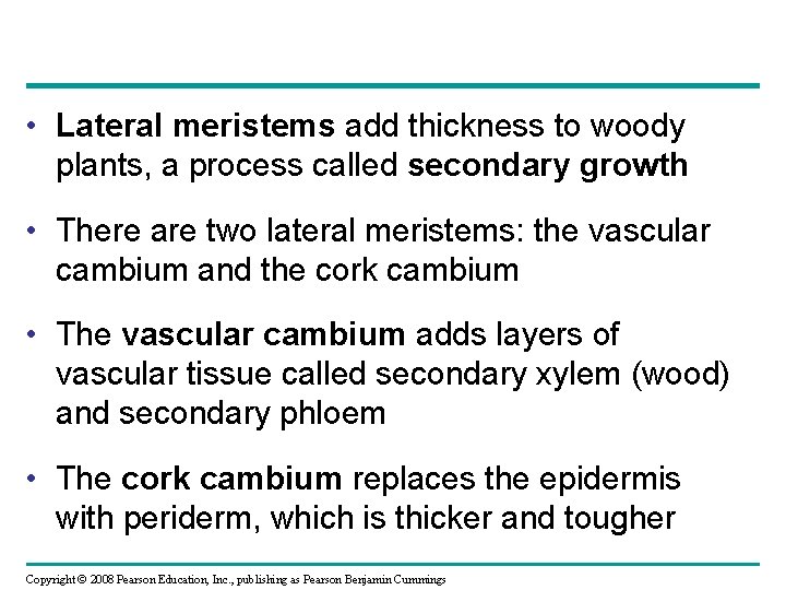  • Lateral meristems add thickness to woody plants, a process called secondary growth