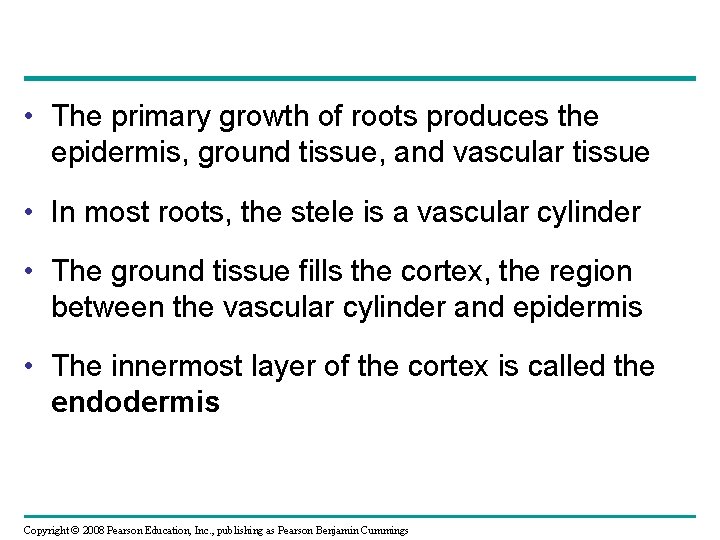  • The primary growth of roots produces the epidermis, ground tissue, and vascular