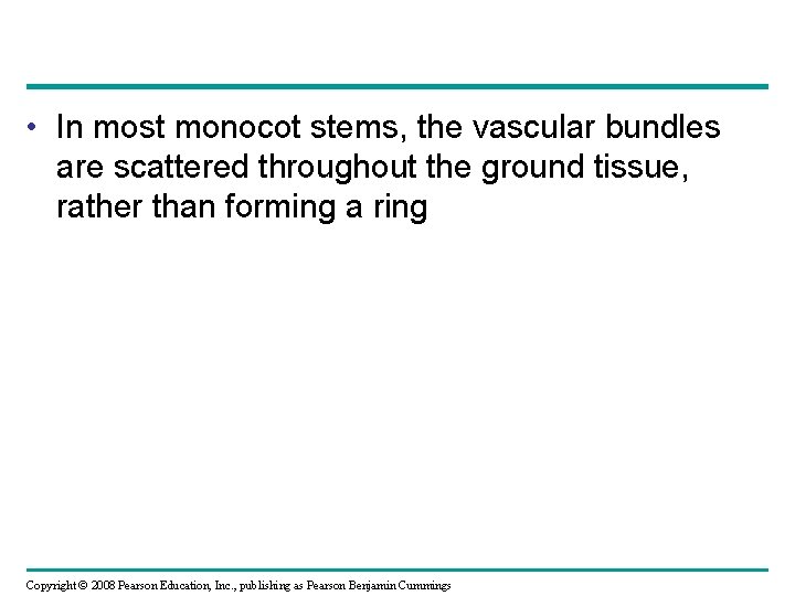  • In most monocot stems, the vascular bundles are scattered throughout the ground
