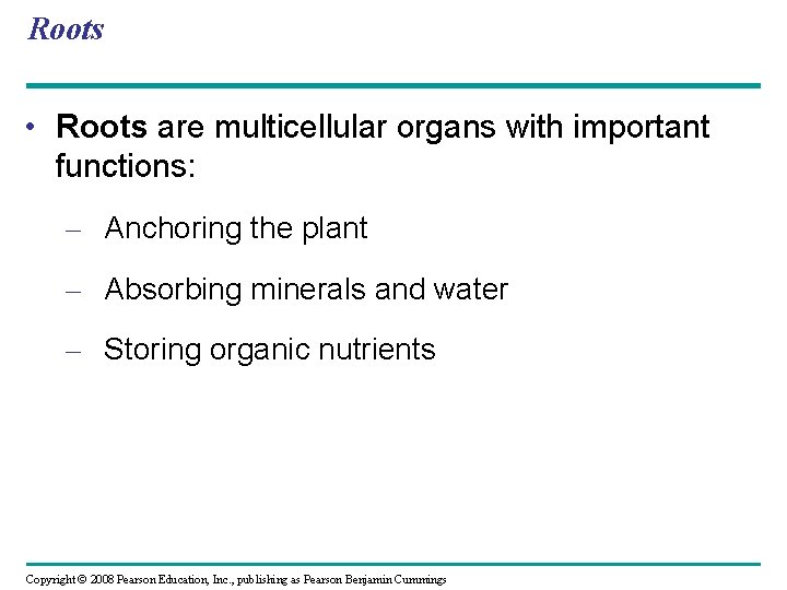 Roots • Roots are multicellular organs with important functions: – Anchoring the plant –