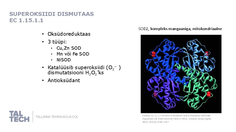 SUPEROKSIIDI DISMUTAAS EC 1. 15. 1. 1 • Oksüdoreduktaas SOD 2, kompleks mangaaniga, mitokondriaalne