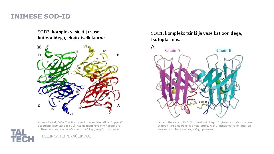 INIMESE SOD-ID SOD 3, kompleks tsinki ja vase katioonidega, ekstratsellulaarne Antonyuk et al. ,