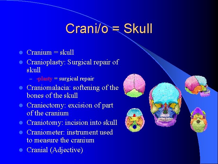Crani/o = Skull Cranium = skull l Cranioplasty: Surgical repair of skull l –