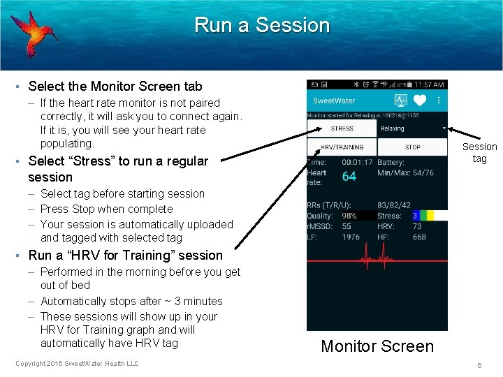 Run a Session ▪ Select the Monitor Screen tab – If the heart rate