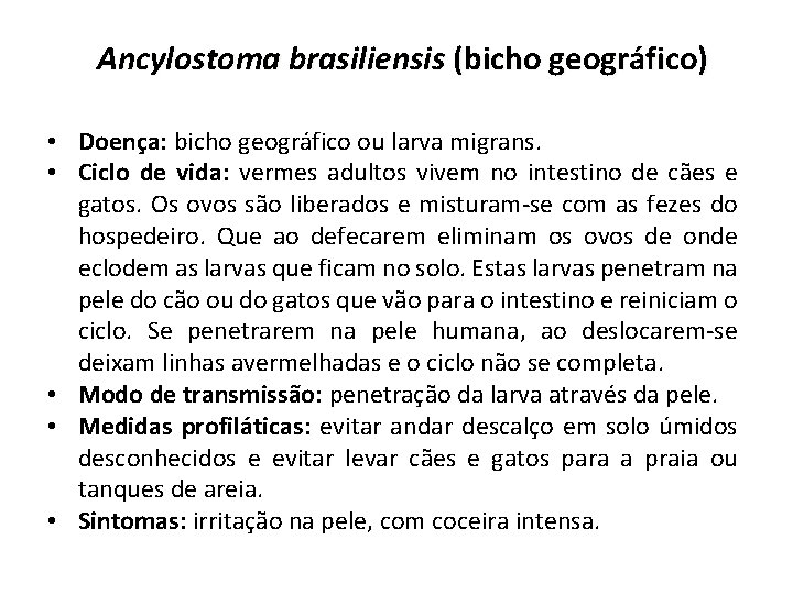 Ancylostoma brasiliensis (bicho geográfico) • Doença: bicho geográfico ou larva migrans. • Ciclo de