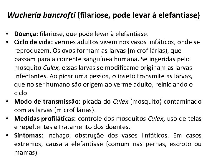 Wucheria bancrofti (filariose, pode levar à elefantíase) • Doença: filariose, que pode levar à