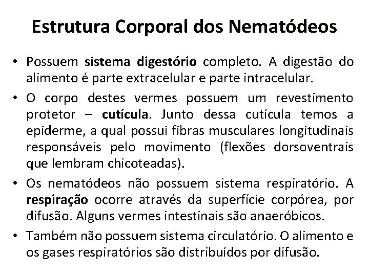 Estrutura Corporal dos Nematódeos • Possuem sistema digestório completo. A digestão do alimento é