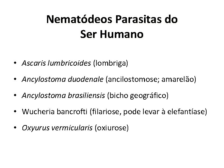 Nematódeos Parasitas do Ser Humano • Ascaris lumbricoides (lombriga) • Ancylostoma duodenale (ancilostomose; amarelão)