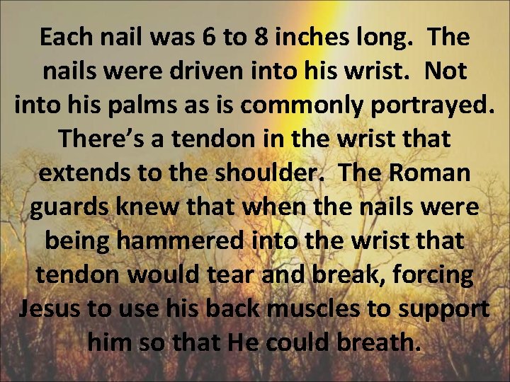Each nail was 6 to 8 inches long. The nails were driven into his