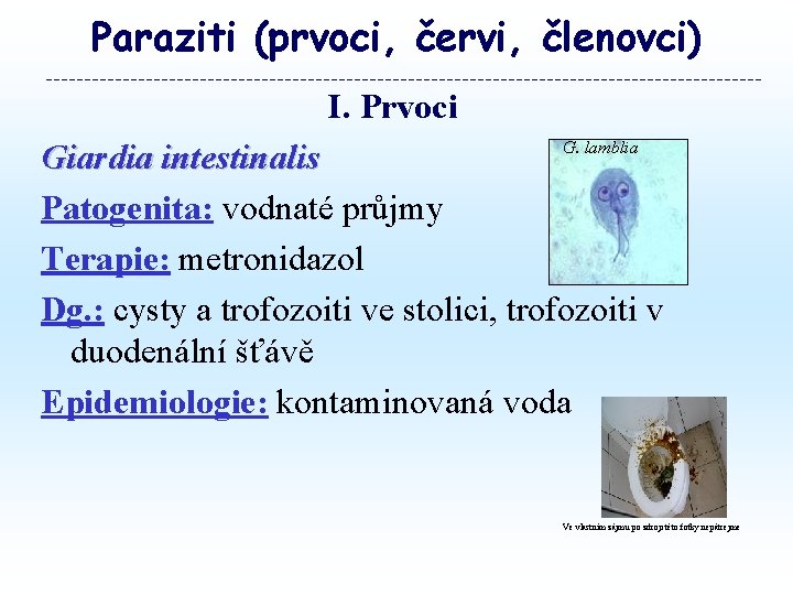 Paraziti (prvoci, červi, členovci) I. Prvoci Giardia intestinalis Patogenita: vodnaté průjmy Terapie: metronidazol Dg.