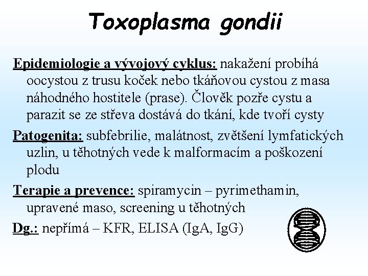Toxoplasma gondii Epidemiologie a vývojový cyklus: nakažení probíhá oocystou z trusu koček nebo tkáňovou